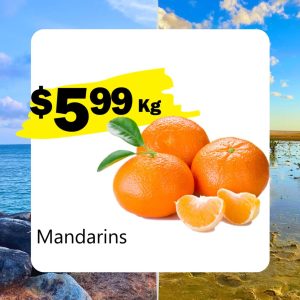 Mandarins (Kg)