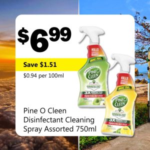Pine O Cleen Disinfectant Cleaning Spray Assorted 750ml