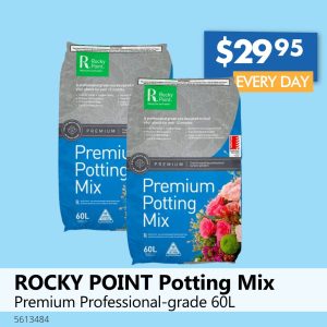 ROCKY POINT Potting Mix