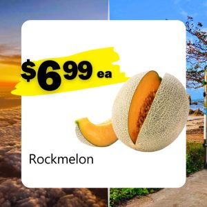 Rockmelon (ea)