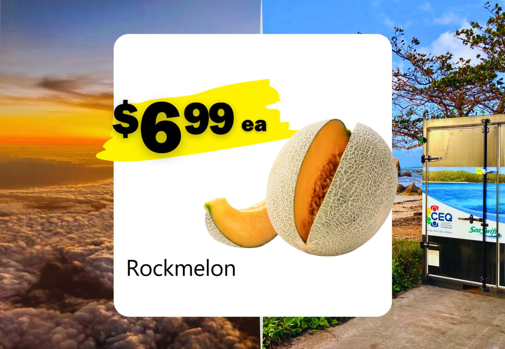 Rockmelon (ea)
