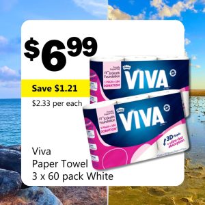 Viva Paper Towel 3 x 60 pack White