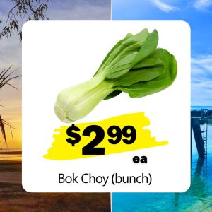 Bok Choy (bunch) (ea)