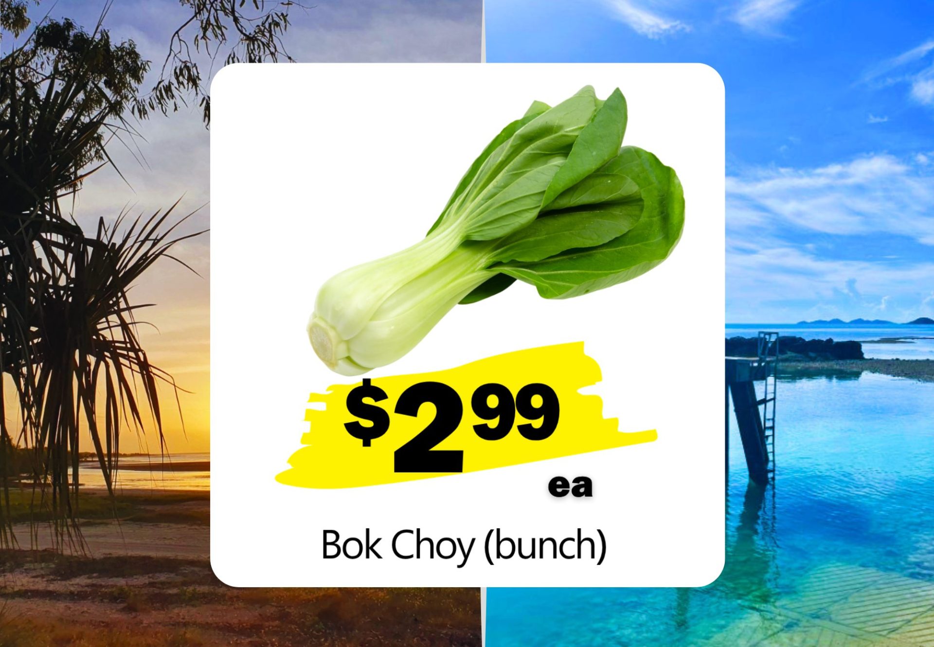 Bok Choy (bunch) (ea)