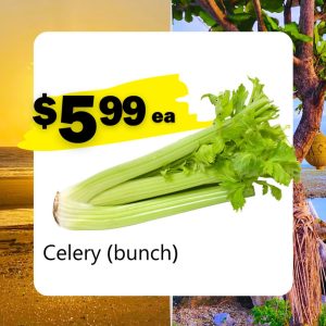 Celery (bunch) (ea)