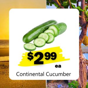 Continental Cucumber (ea)
