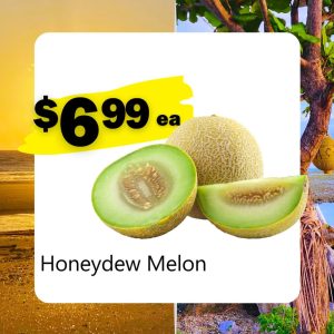 Honeydew Melon (ea)