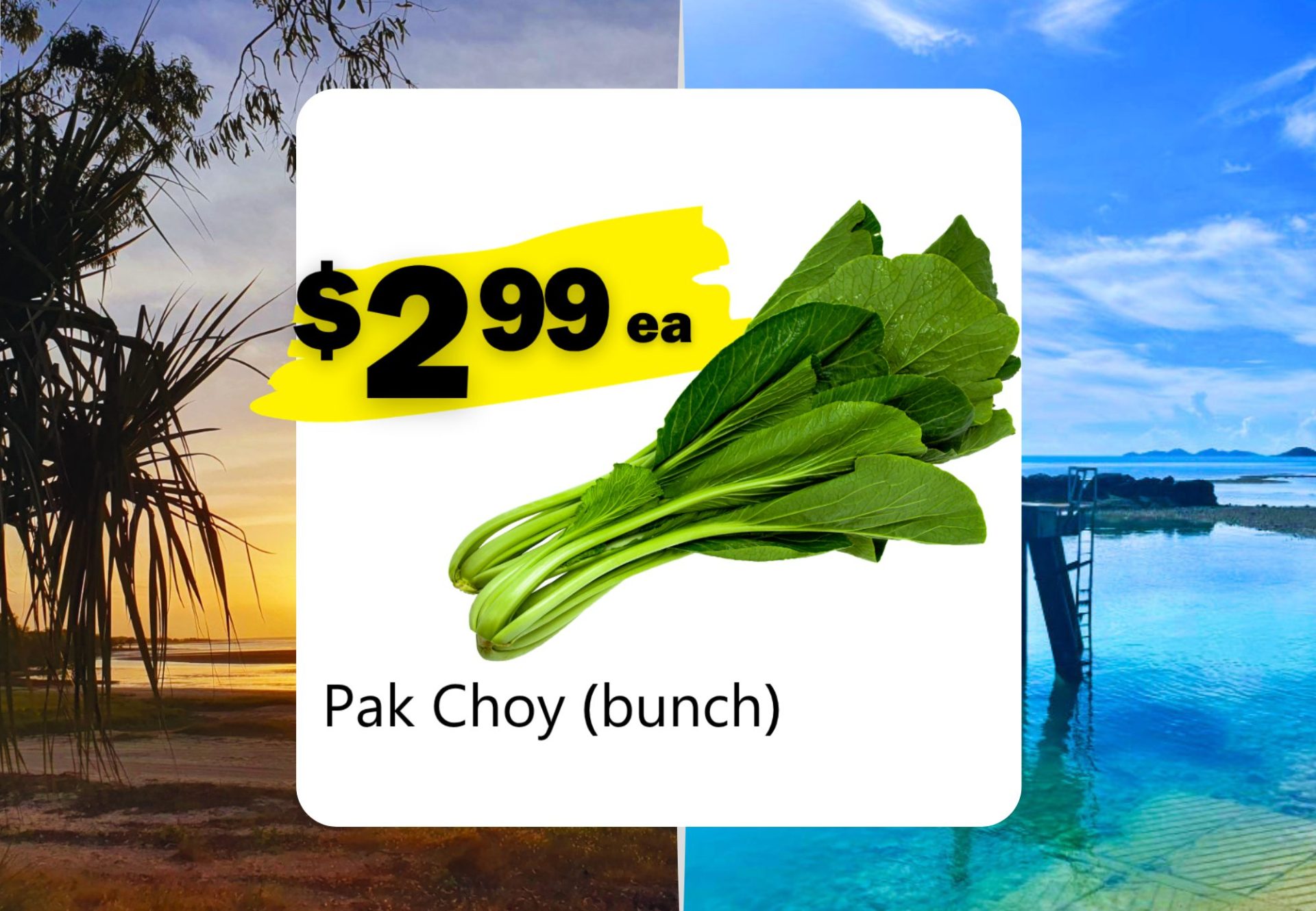 Pak Choy (bunch) (ea)