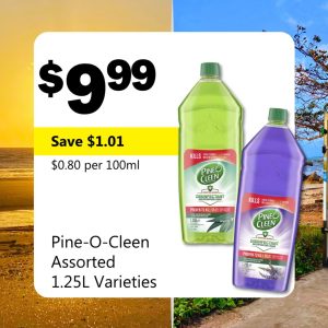 Pine-O-Cleen Assorted 1.25L Varieties