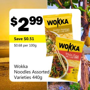 Wokka Noodles Assorted Varieties 440g