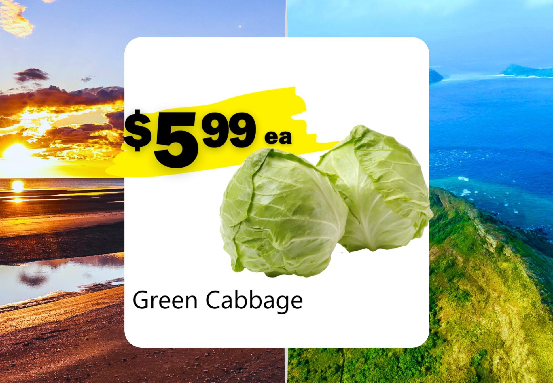 Green Cabbage (ea)